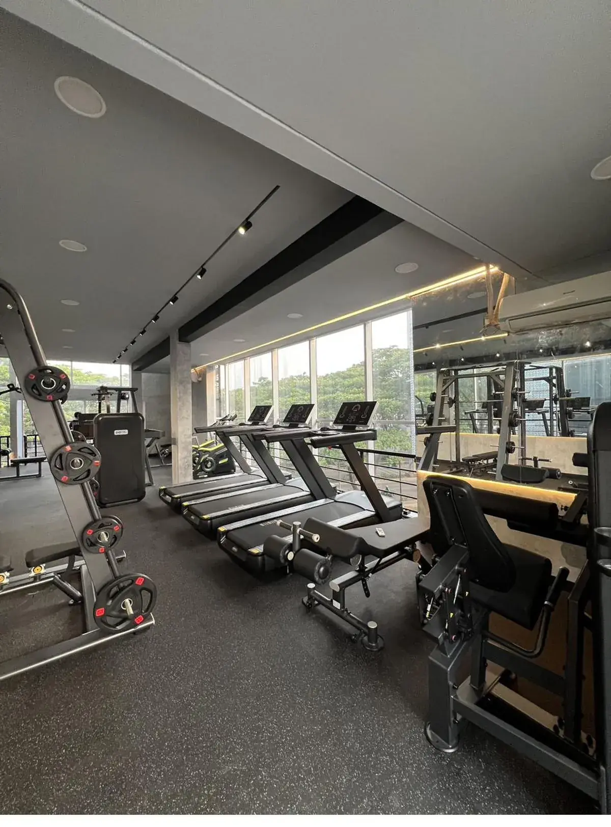 Interior gym 24 jam Fitopia BSD — barisan treadmill cardio terpasang